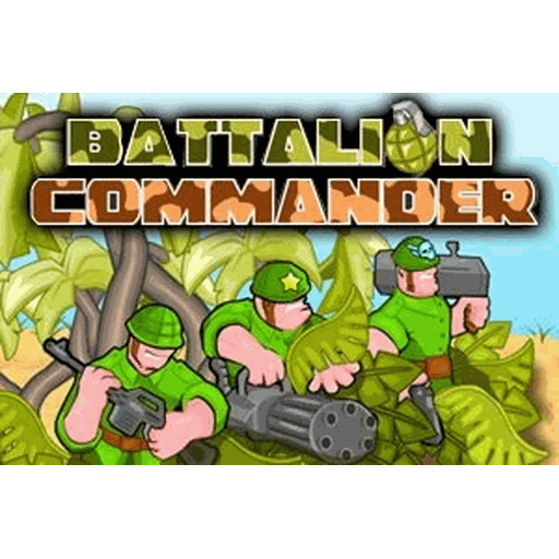 Battalion Commander